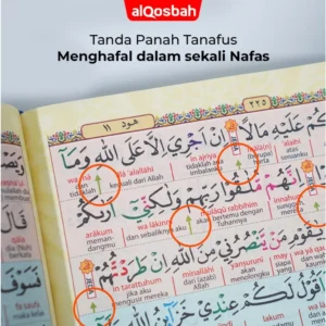al quran hafalan hafazan perkata latin 8 blok terjemah tajwid warna